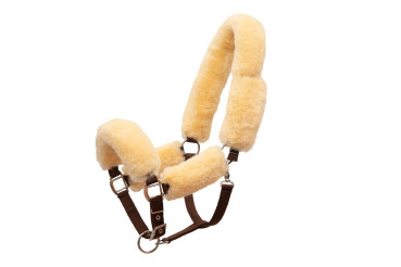 Preview: Mattes Stall- und Transporthalfter, mit Lammfell überzogen - freie Farbwahl