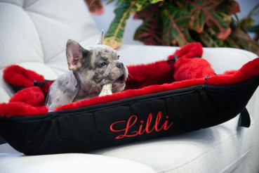 Preview: Mattes Lammfell Hundebett - mit Wunschname