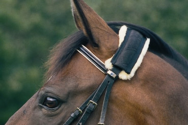 Preview: Christ Lammfell Turnier Genickriemenschoner