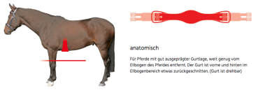 Preview: Mattes SLIM-LINE Lammfell Langgurt mit abnehmbarem Lammfellbezug