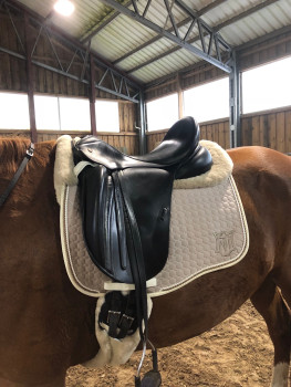 Preview: Mattes Walnuss Kollektion Eurofit Schabracke mit Lammfellkissen, Dressur, sofort verfügbar