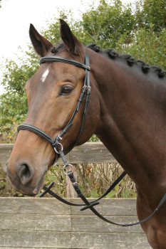 Preview: Harry´s Horse Trense, gebisslos, schwarz