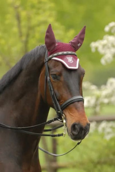 Mattes Fliegenhaupe Brombeere