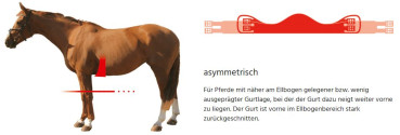 Preview: Mattes Lammfell Sattelgurt-Kurzgurt, englisch und western, asymmetrisch, freie Farbwahl
