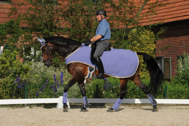 Preview: MATTES®-Reitdecke mit Ausschnitt um das Sattelpolster/Ausreitdecke