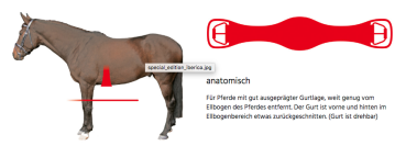 Preview: Mattes SLIM-LINE Lammfell Western-Sattelgurt mit Cinch, mit abnehmbarem Lammfellbezug, freie Farbwahl