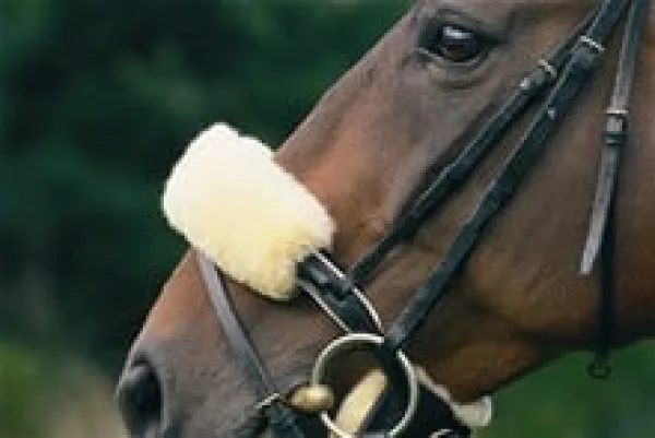 Christ Lammfell Nasenriemenschoner