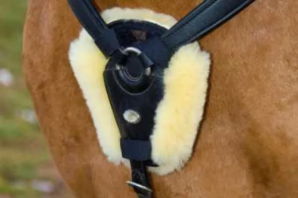 Christ Lammfell Vorderzeugabdeckung/ Vorderzeugunterlage